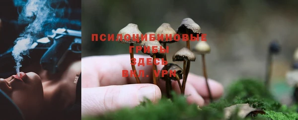 ГАЛЛЮЦИНОГЕННЫЕ ГРИБЫ Алексеевка