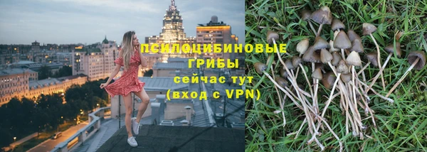 ГАЛЛЮЦИНОГЕННЫЕ ГРИБЫ Алексеевка