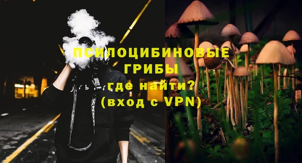 дживик Алексин