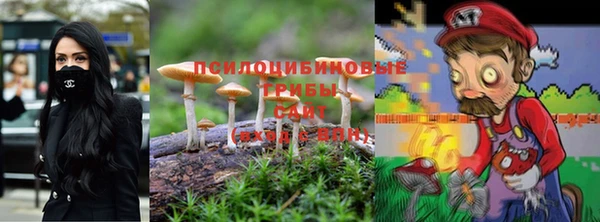 бошки Алзамай
