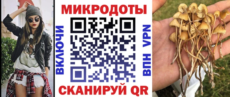 Псилоцибиновые грибы мухоморы Анжеро-Судженск