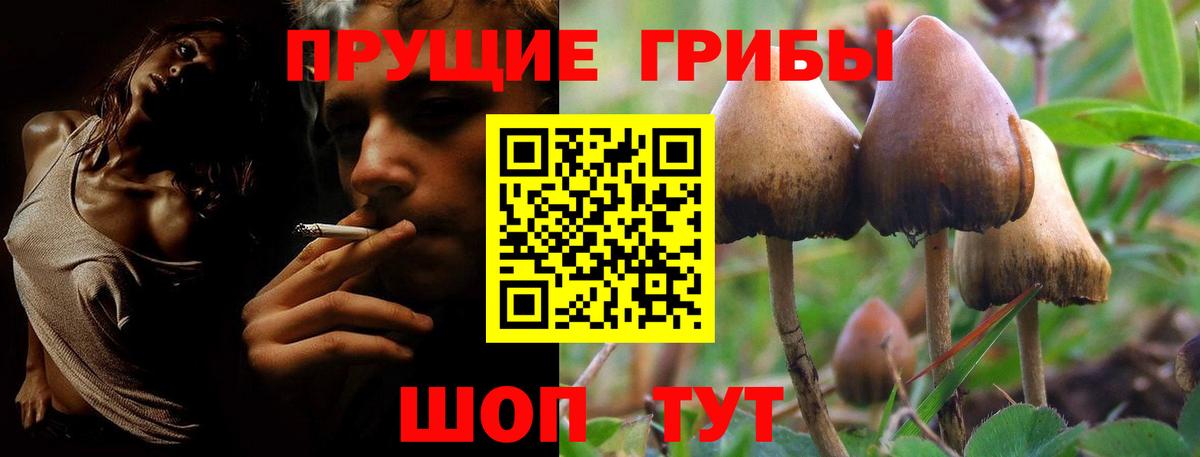 Псилоцибиновые грибы Magic Shrooms Анжеро-Судженск