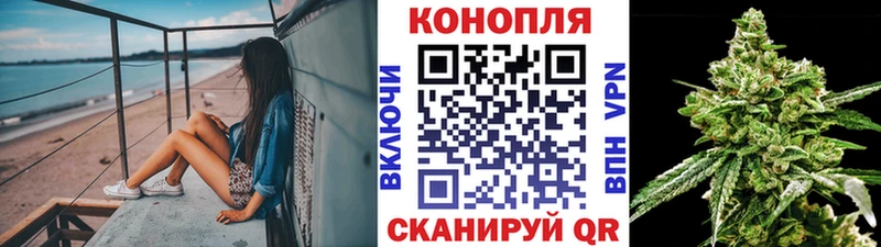 Конопля Bruce Banner  Анжеро-Судженск 